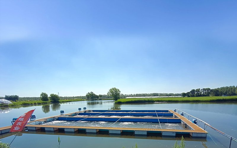 Jilin Dexiang Project