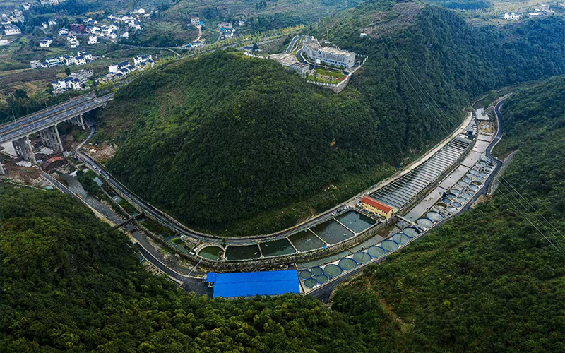 Smart Fishery Management System